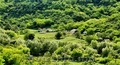 Дом в экологически чистом живописном месте жемчужены Молдовы